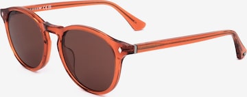 Occhiali da sole 'WE0328' di Web Eyewear in marrone: frontale