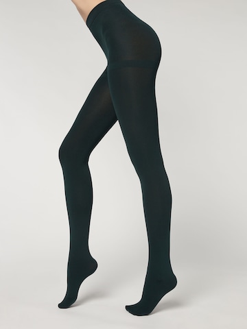 CALZEDONIA Tights 'thermo' in Green: front