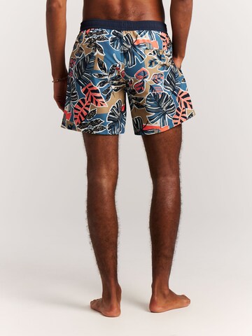PROTEST Board Shorts 'PRTRayger' in Brown