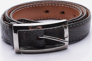 Reptile's House Belt in L in Brown: front