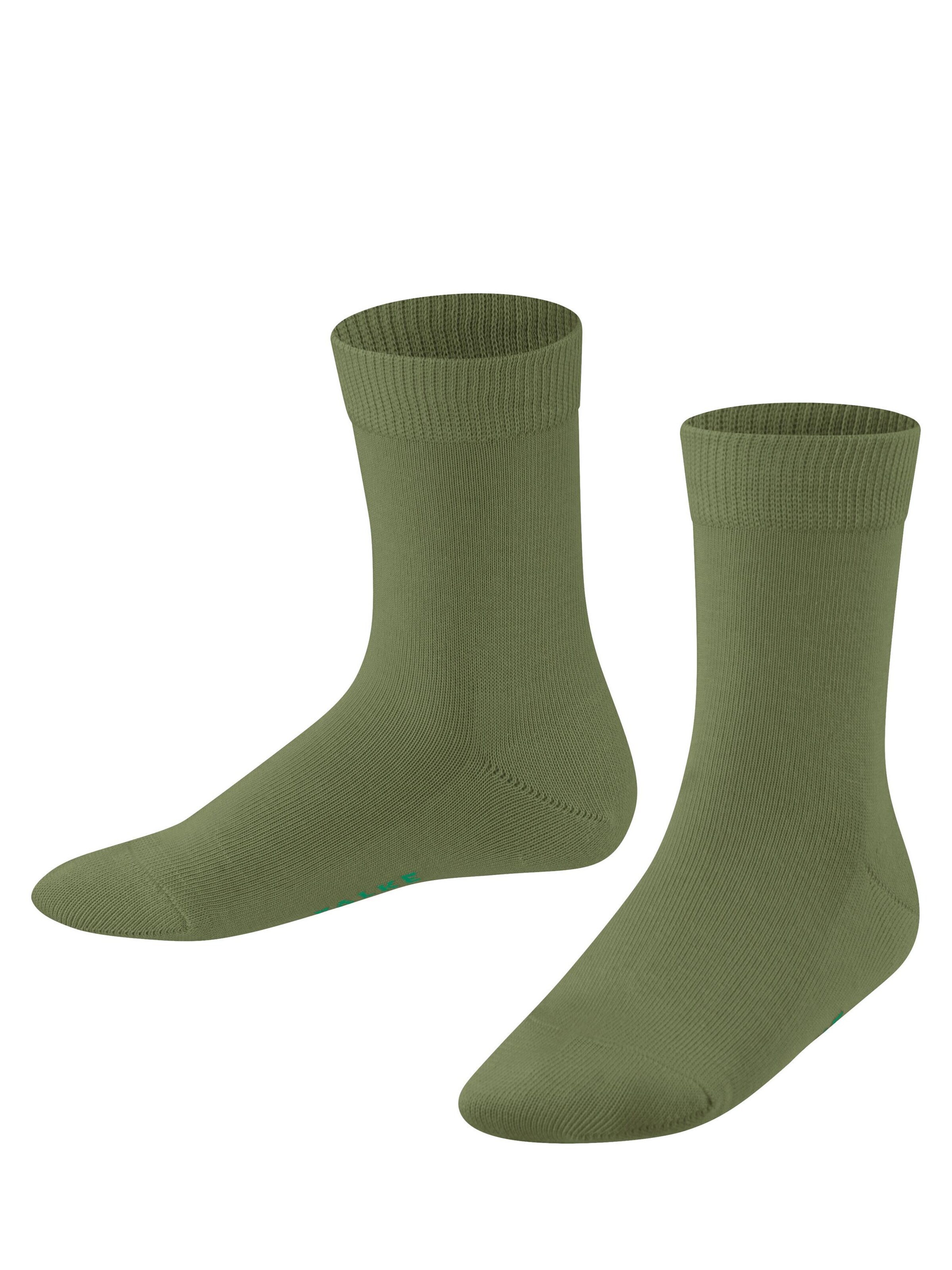 FALKE Socks 'Family' in Green: front