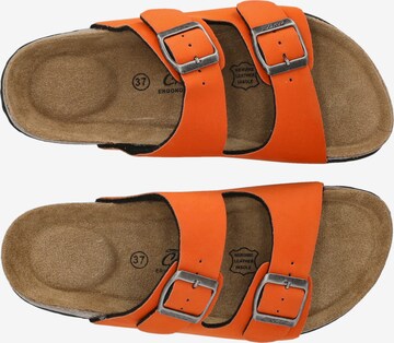 Cruz Mules 'Whitehill' in Orange