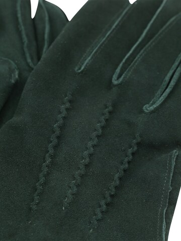 Suitable Full Finger Gloves in Green