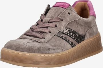 Sneaker bassa di GABOR in grigio: frontale