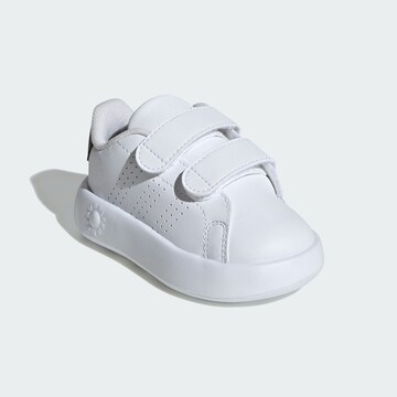 ADIDAS ORIGINALS Trainers 'Advantage' in White