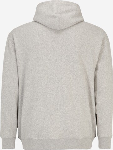 Polo Ralph Lauren Big & Tall Sweatshirt in Grey