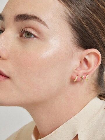 Luxenter Piercings 'Rahlau' in Geel