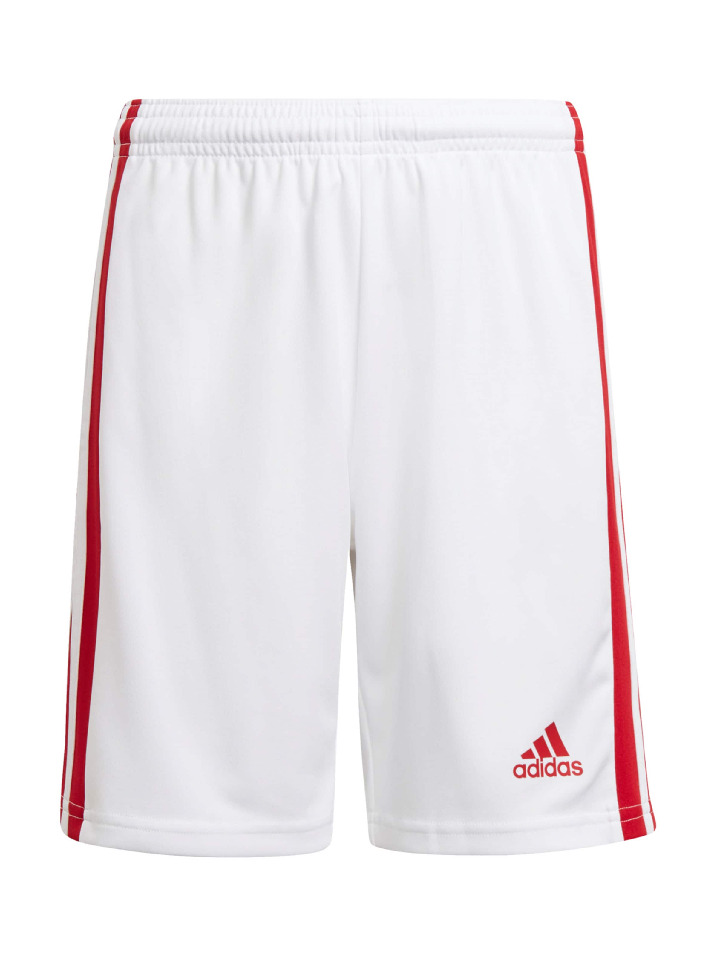 ADIDAS PERFORMANCE - regular Pantalón deportivo 'Squadra 21' en blanco: frente