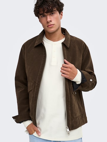 Only & Sons Tussenjas 'ONSSINCLAIR' in Bruin