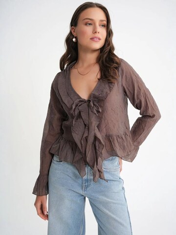 MixRay Blouse in Brown: front