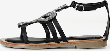 Sandalo di CAFè NOIR in nero: frontale