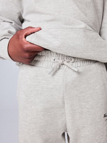 Regular Pantaloni de la smALLSAINTS pe gri