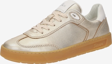 SIOUX Platform trainers 'Tedroso' in Gold: front