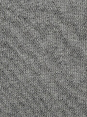 Collant 'Uni' EWERS en gris