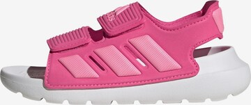 Sandales 'Altaswim 2.0' ADIDAS SPORTSWEAR en rose : devant