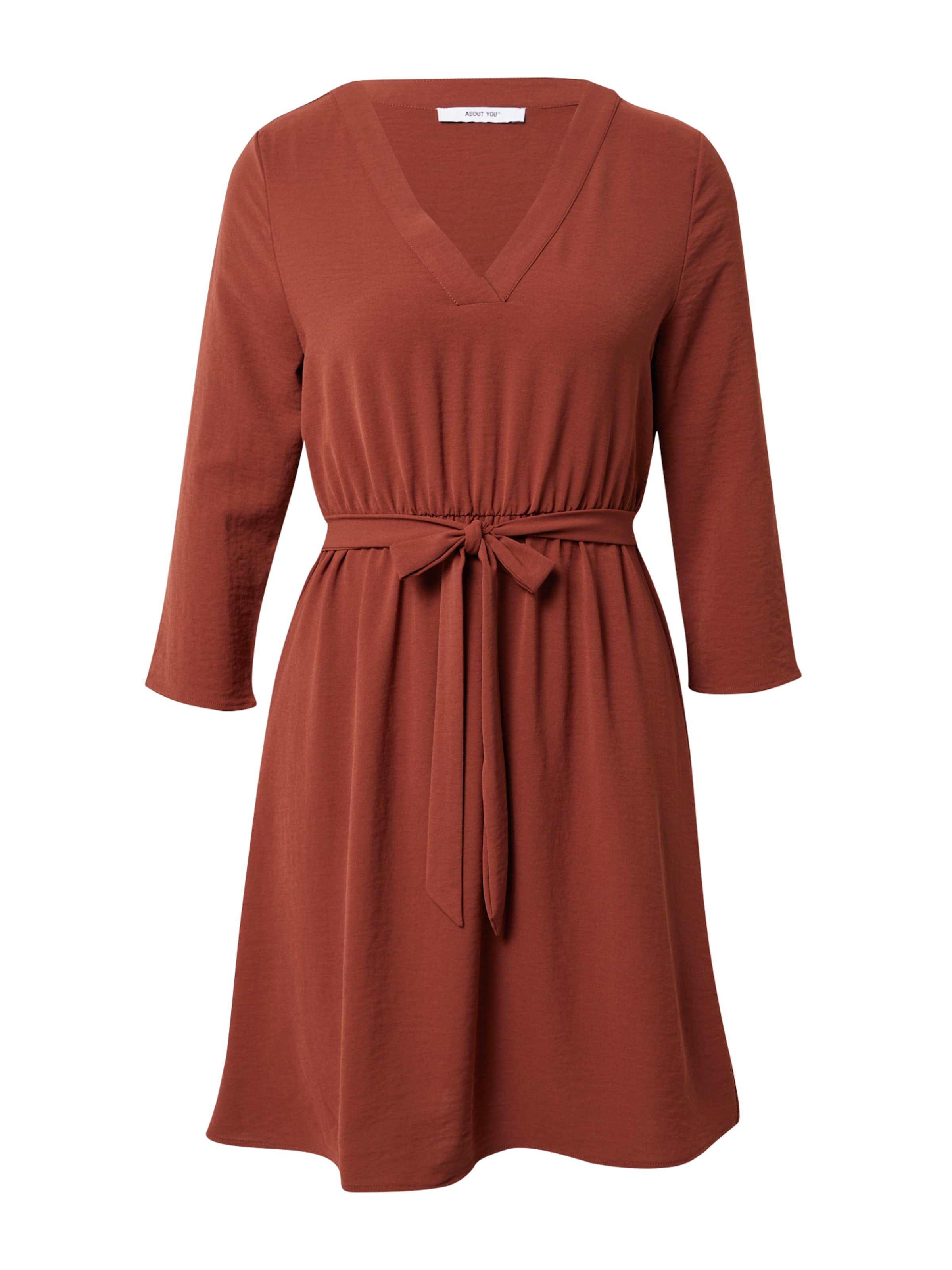 ABOUT YOU Šaty – hnědá: přední strana