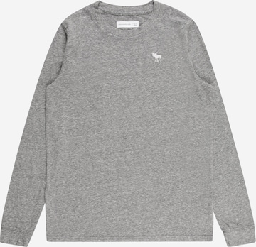 Abercrombie & Fitch Shirt in Grey: front