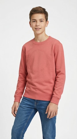 TOM TAILOR Sweatshirt in Red: front