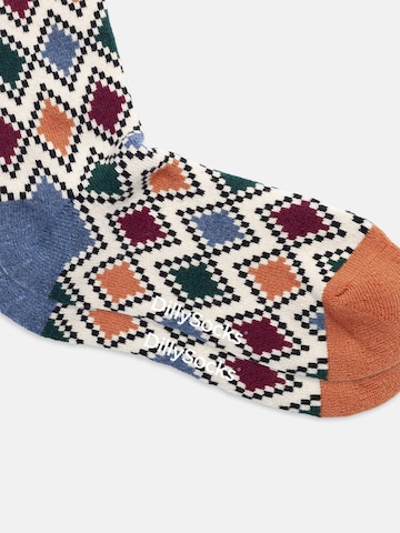 Chaussettes 'Extra Cozy Paul' DillySocks en mélange de couleurs