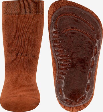 EWERS Socks in Brown: front