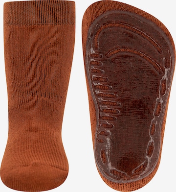 EWERS Socks in Brown: front