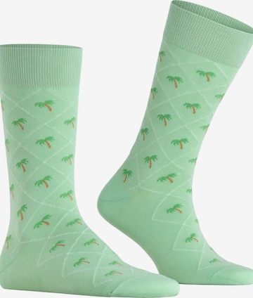BURLINGTON Socken 'Palm Tree' in Grün: Vorderseite