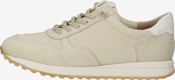 Sneaker bassa di Paul Green in beige