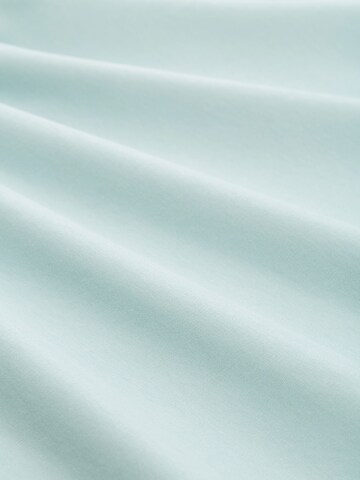 TOM TAILOR Shirt in Blue