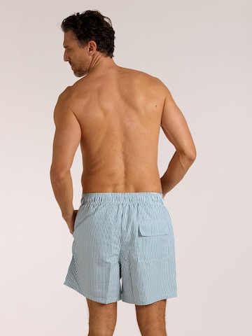 wavebreaker Board Shorts in Green
