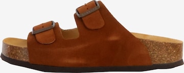 Mule Plakton en vert : devant
