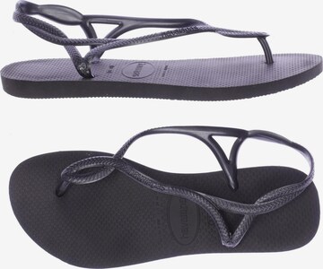 HAVAIANAS Sandals & High-Heeled Sandals in 38 in Black: front
