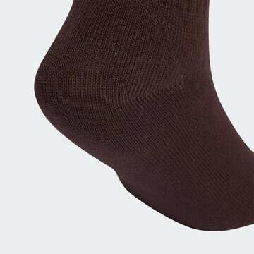 Calzino 'MID ANKLE SOCK 3 PAIR PACK KIDS' di ADIDAS ORIGINALS in marrone