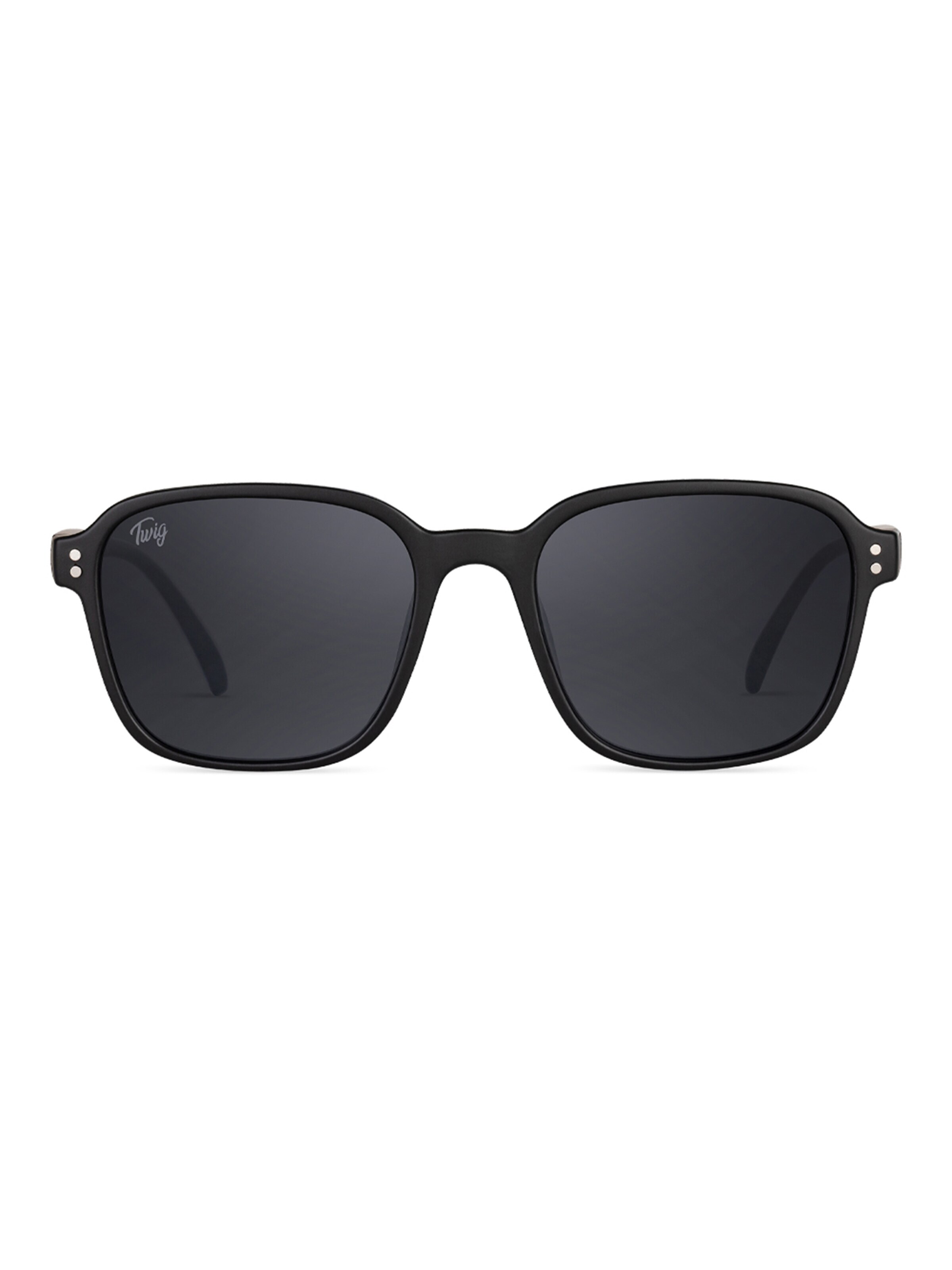 TWIG Concept Milano Okulary przeciwsłoneczne 'Signac' w kolorze czarny: przód