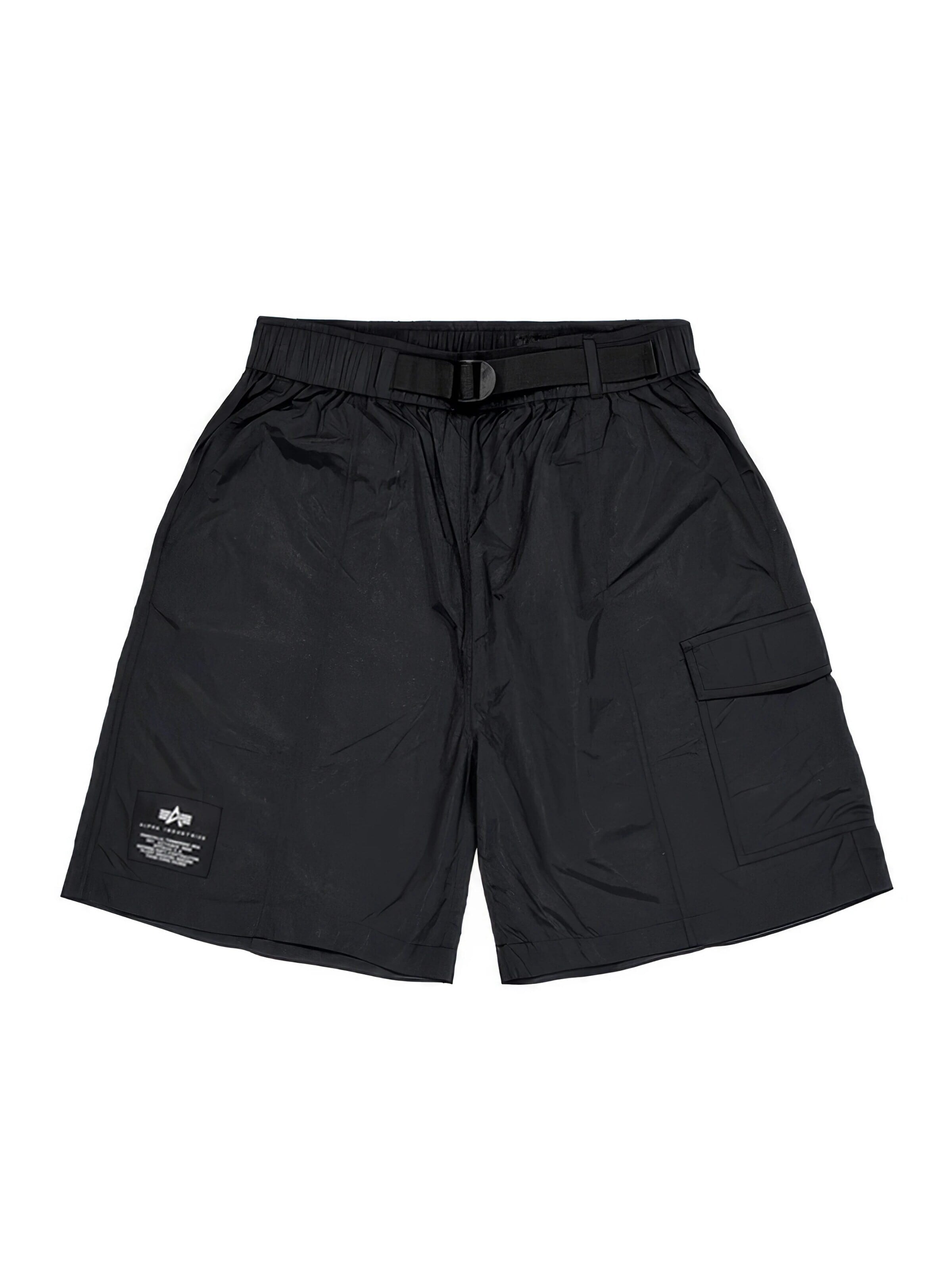 ALPHA INDUSTRIES Regular Pants in Black: front