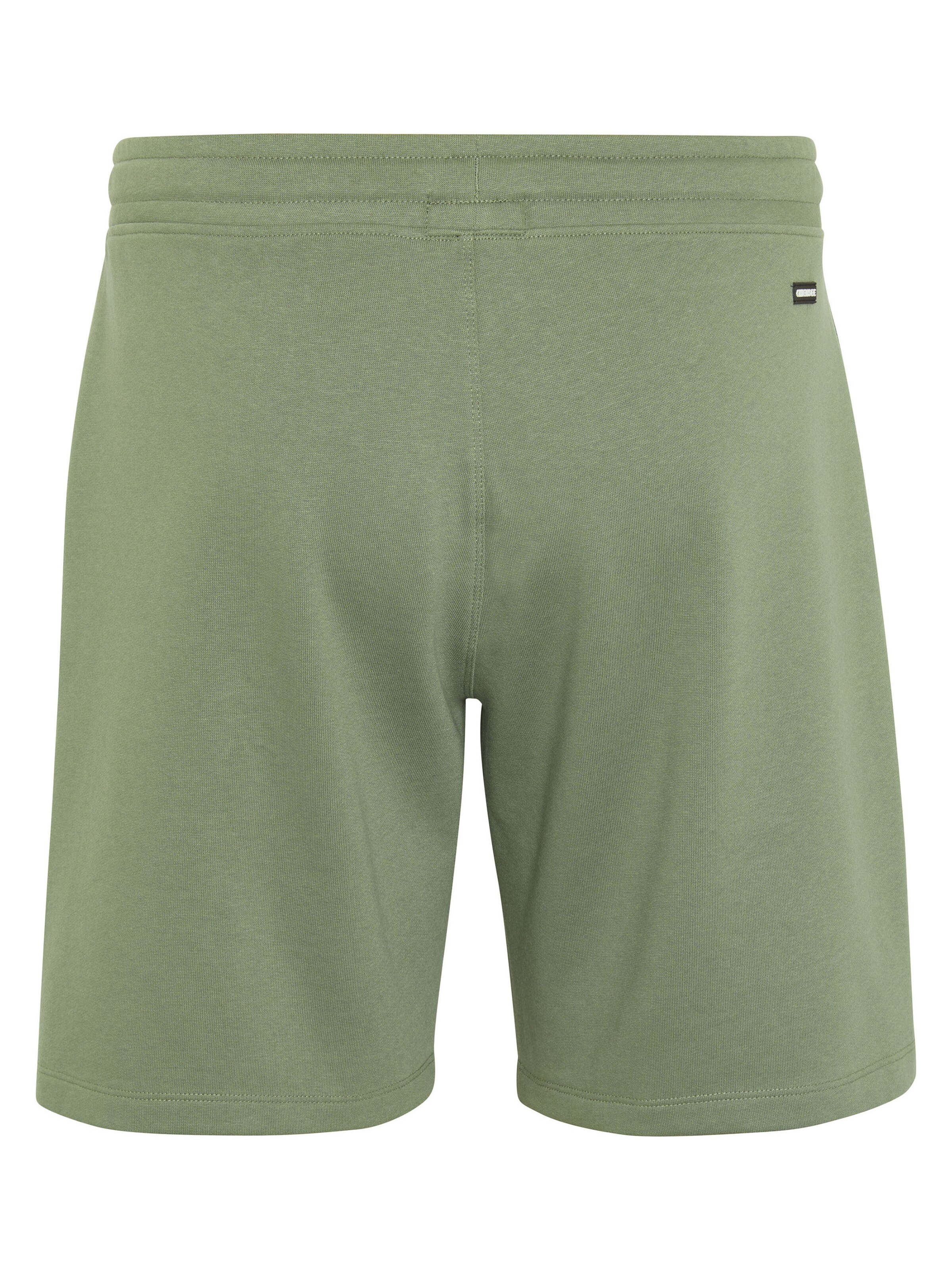CHIEMSEE Regular Pants in Green
