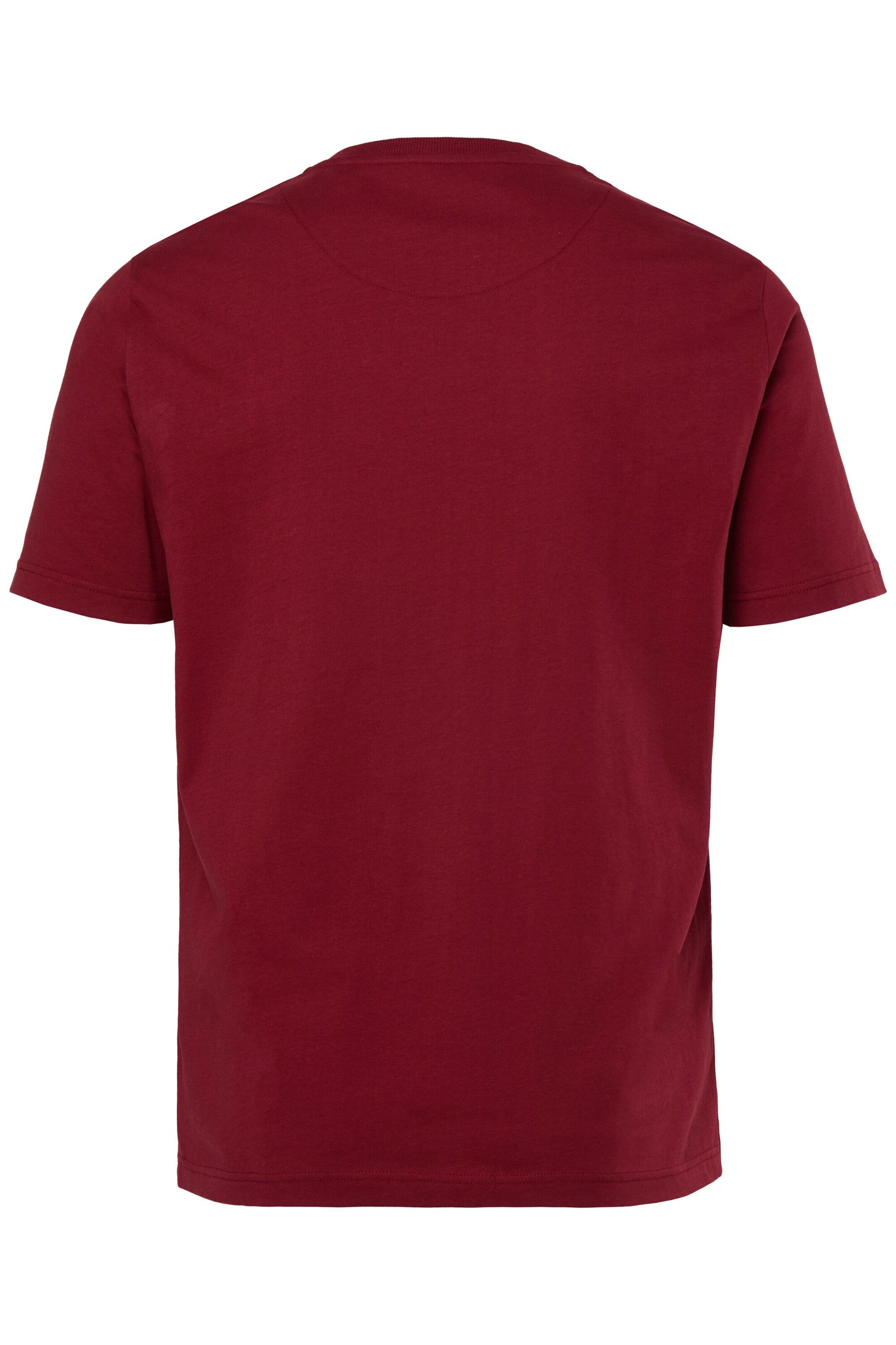 Men Plus Shirt in Red