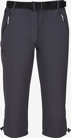REGATTA Regular Outdoor Pants 'Xert' in Grey: front