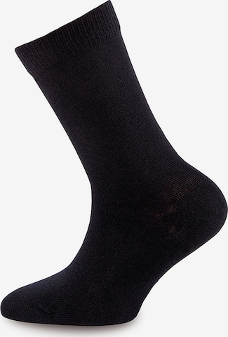 EWERS Regular Къси чорапи в сиво