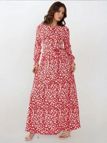 Hiccup Kleid in Rot: Vorderseite