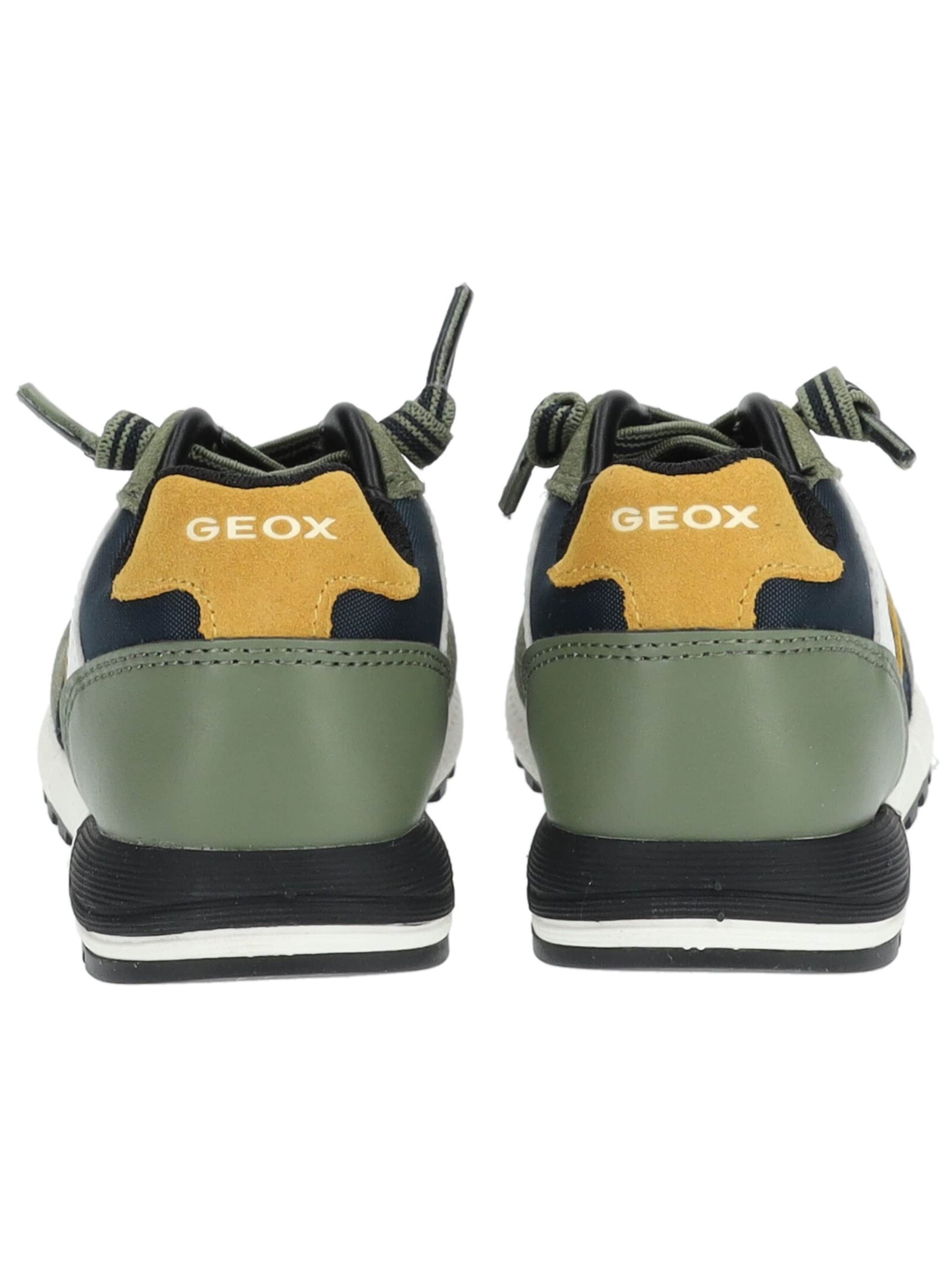 GEOX Sneaker in Grün