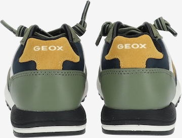 Sneaker di GEOX in verde
