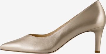Högl Pumps 'Boulevard' in Gold: Vorderseite