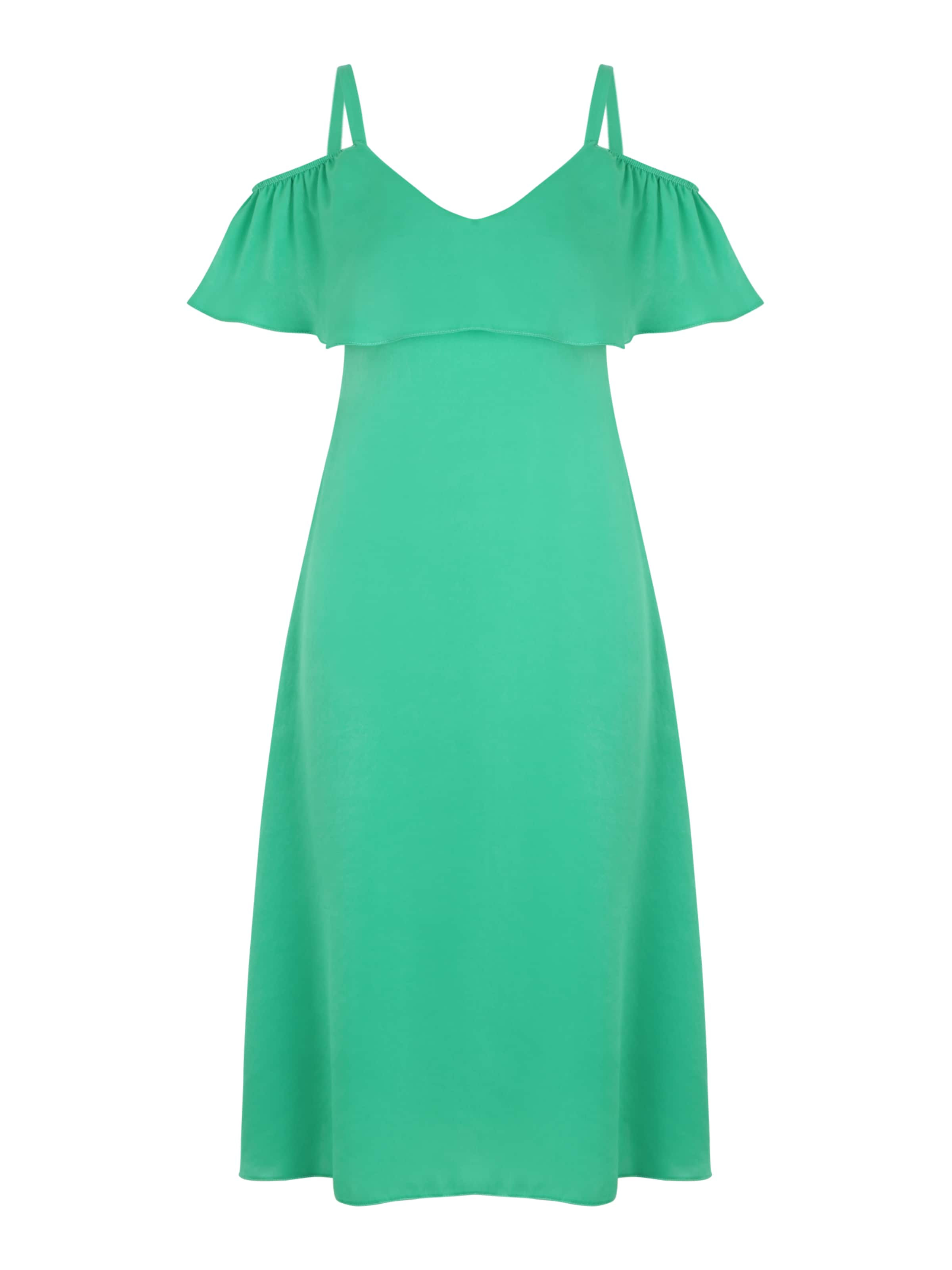 Dorothy Perkins Petite Kleit, värv roheline: eest vaates