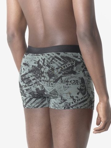 Boxeri de la KOROSHI pe mai multe culori