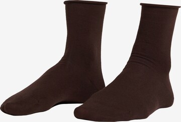 CALZEDONIA Socken in Braun: predná strana