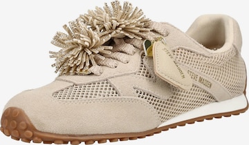 Baskets basses STEVE MADDEN en beige : devant