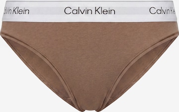Calvin Klein Underwear Slip in Brown: front