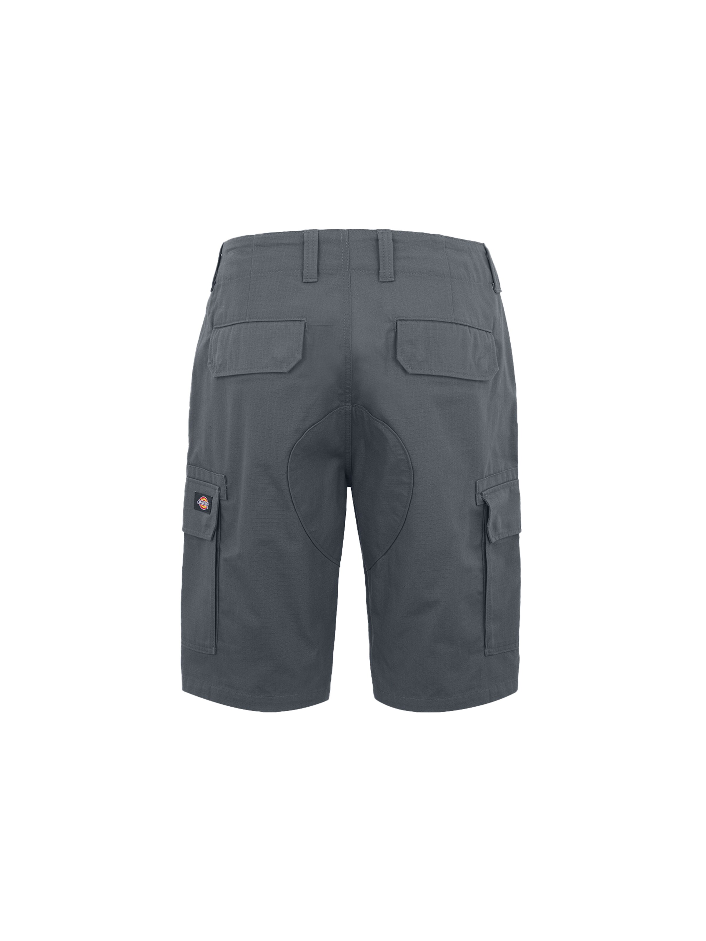 DICKIES Regular Cargo trousers in Grey