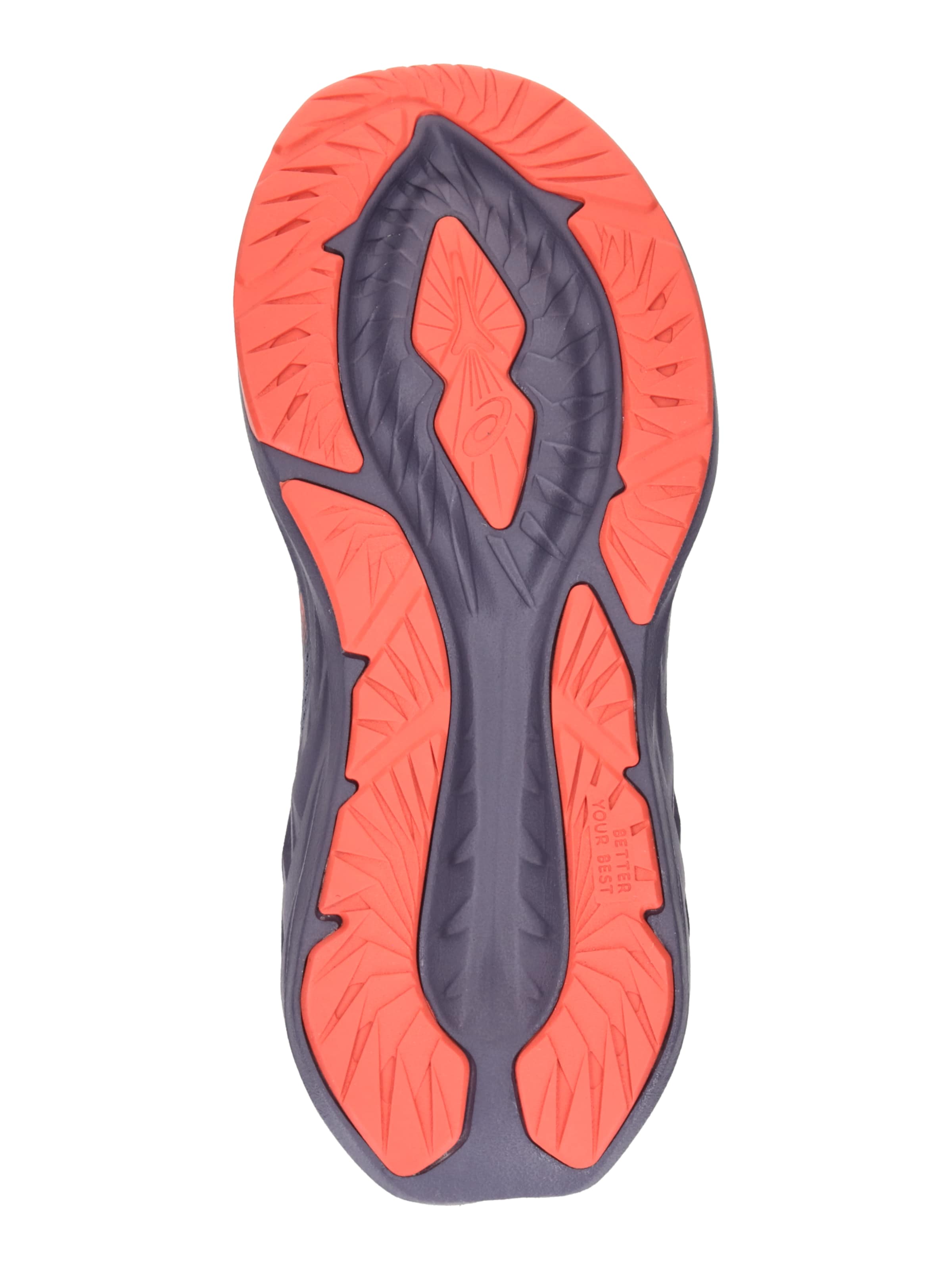 Scarpa sportiva 'NOVABLAST 5' di ASICS in lilla