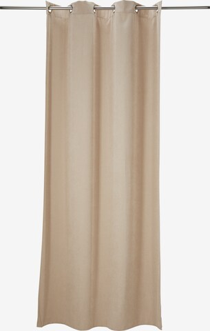 TOM TAILOR Curtains & Drapes in Beige: front